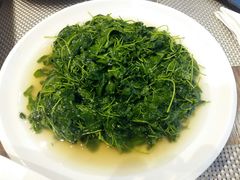 -逸林轩中餐厅(中信泰富朱家角锦江酒店)
