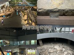 -自贡恐龙博物馆