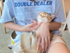 -泰国佛·塔罗·泰牌狐仙古曼