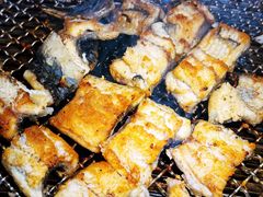 -银座苑烧肉酒场·烤活鳗(仙霞路店)