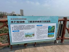 -霞山观海长廊