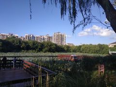 -新江湾城公园