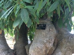 -南通洲际绿博园