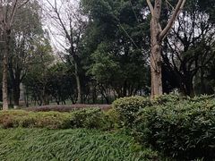 -重庆彩云湖湿地公园