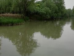 -长兴太湖图影湿地文化园