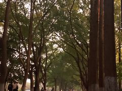 -苏州大学(天赐庄校区)