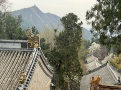 -潭柘寺景区