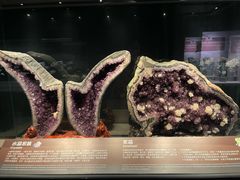 -正佳自然科学博物馆