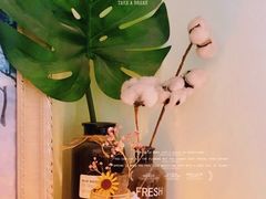 -宝鸡东道花鸟鱼虫市场(吉利花园商场店)