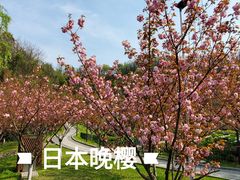 -幕燕滨江·长江观音景区