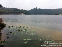 79311f91jw1e9i8abx9rsj20hs0dadhp-悦湖公馆