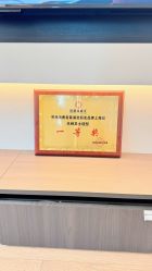 -乐绅男士高端假发定制