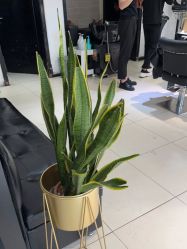 -LJOY丽锦造型·烫发染发