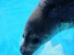 -多彩贵州城极地海洋世界