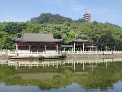 -福神岗公园