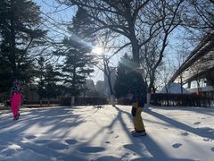 -沈阳奥体冰雪嘉年华
