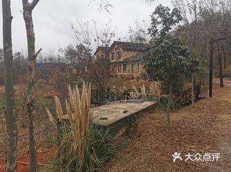 一位设计公司老板的归隐田园梦！