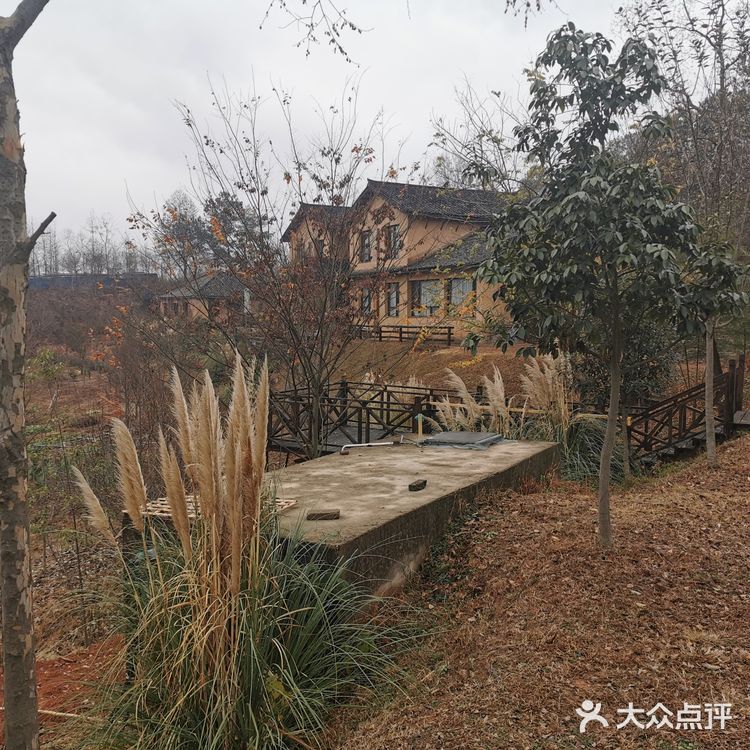 一位设计公司老板的归隐田园梦！