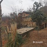 一位设计公司老板的归隐田园梦!