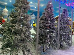 -世界之窗阿尔卑斯冰雪世界