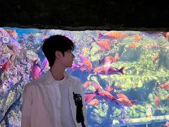 -南昌融创海世界