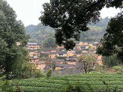 -杨家堂村