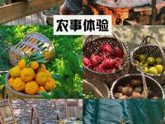 -上海影视乐园