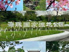 -金成潮菜博物馆(海珠湿地店)