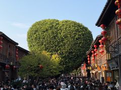 -三坊七巷历史文化街区