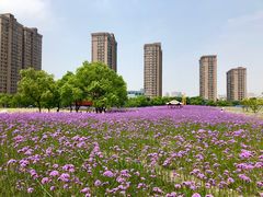 -杭州城北体育公园