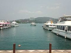 -金盆阿嬷香菇茶叶蛋(玄光店)