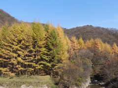 -关山草原