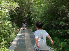 -白草畔自然风景区