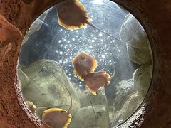-珠海长隆海洋王国