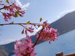 -丽江泸沽湖景区