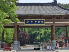 -金龙寺国家森林公园