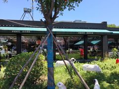 -阳坊胜利涮羊肉(阳坊老店)