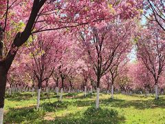 -凤凰沟景区