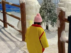 -世界之窗阿尔卑斯冰雪世界