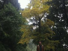 -金堂县云顶石城风景区