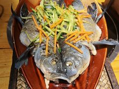 丽江雪山鱼-民食香·腊排骨野生菌美食(木府店)