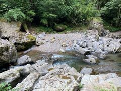 -龙苍沟森林公园