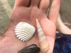 -四川人郑霞海鲜