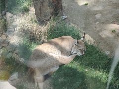 -青藏高原野生动物园