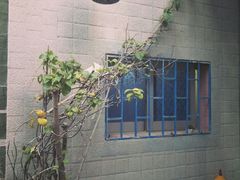 -厦门燕子坞客栈