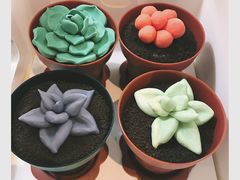 -DIY SWEET21(升平路店)
