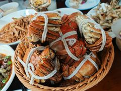 -蟹村草堂·苏式园林人文农家·大闸蟹