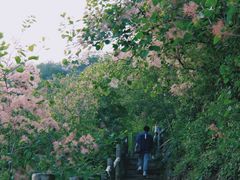 -周口店坡峰岭风景区
