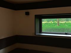 -光舍(香榭里花园店)