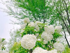 -大龙山(地铁站)